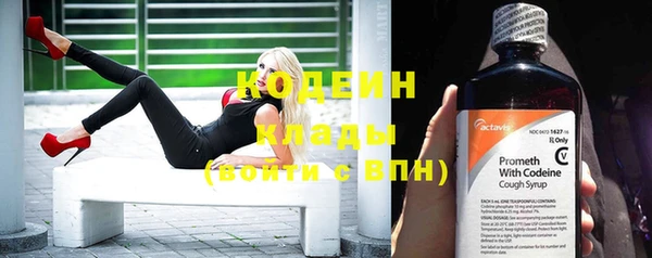 спиды Осинники
