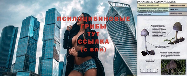 2c-b Баксан