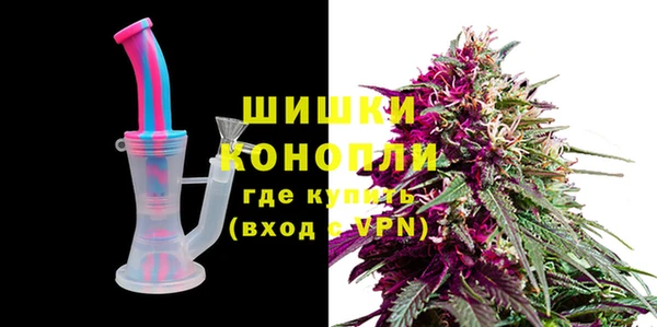 хмурый Арсеньев