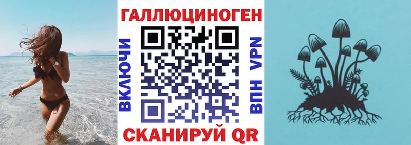 Псилоцибиновые грибы Cubensis Соль-Илецк